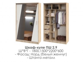 шкаф-купе ПШ-2.9 1500 Норд Белый жемчуг 1500 в Тобольске - tobolsk.magazin-mebel74.ru | фото